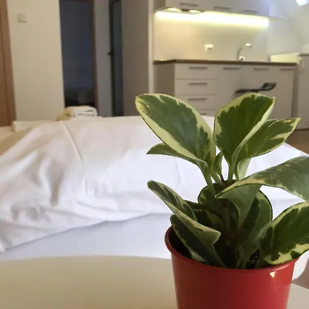 Hotel Elly 2*