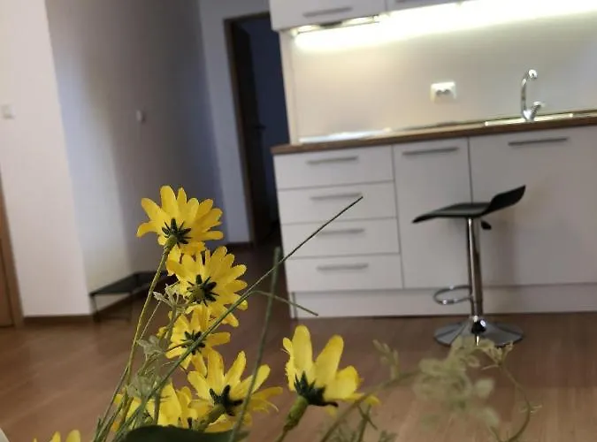 Elly 2* Gmina Pomorie